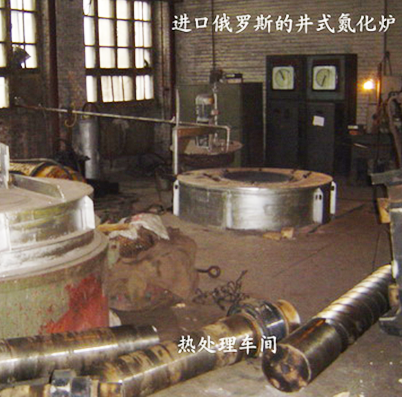 進口螺桿氮化爐 